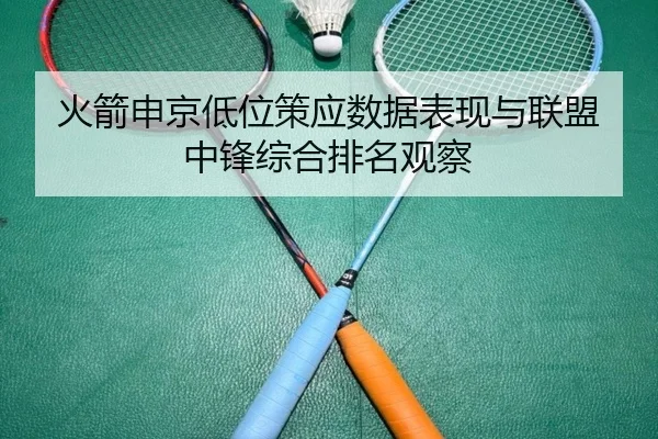 火箭申京低位策应数据表现与联盟中锋综合排名观察