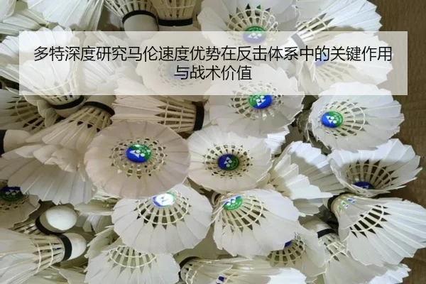 多特深度研究马伦速度优势在反击体系中的关键作用与战术价值
