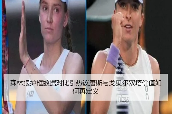 森林狼护框数据对比引热议唐斯与戈贝尔双塔价值如何再定义