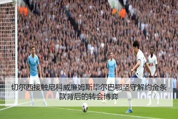切尔西接触尼科威廉姆斯毕尔巴鄂坚守解约金条款背后的转会博弈